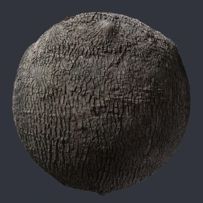 ash bark 001 — Descargar