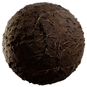 scarce grass on damp soil 005 — Скачать