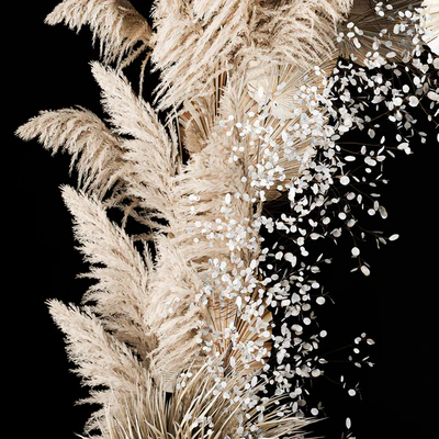 Eco-style wedding arch made of dried flowers and pampas grass, Cortaderia, moonflower, dry, palm branch. 5 — Ver 6