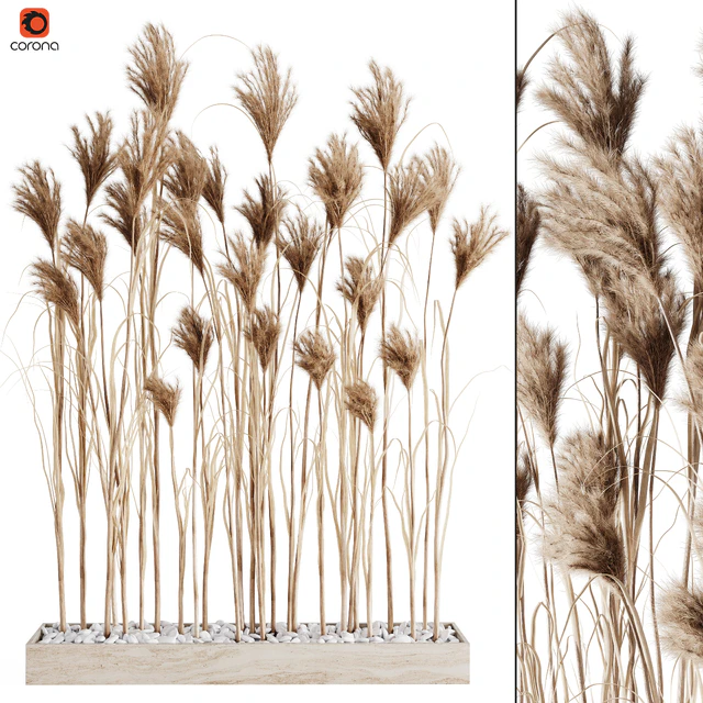 A bunch of Pampas 7 — Descargar