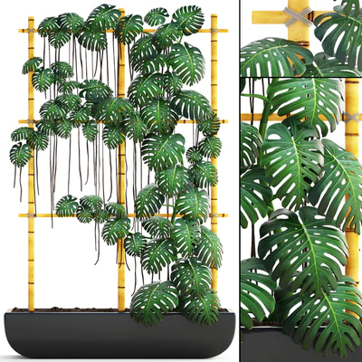 Monstera 7, вертикальный сад, фитостена, эко дизайн, монстера, декоративный куст, горшок, вазон — Вид 1