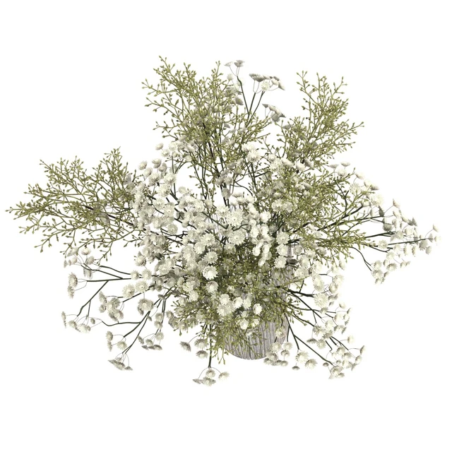 Bouquet — Descargar