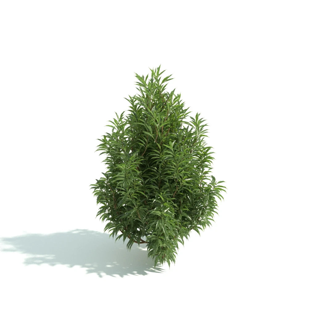 hedges 028 — Descargar