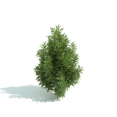 hedges 028 — Descargar