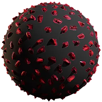 pomegranate 004 — Descargar