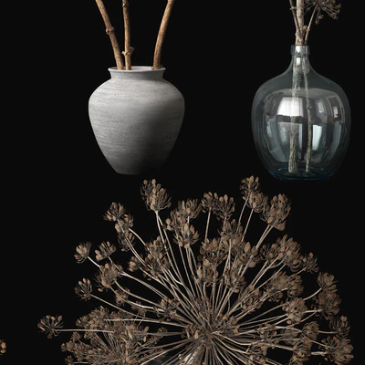 Old heracleum — Вид 3