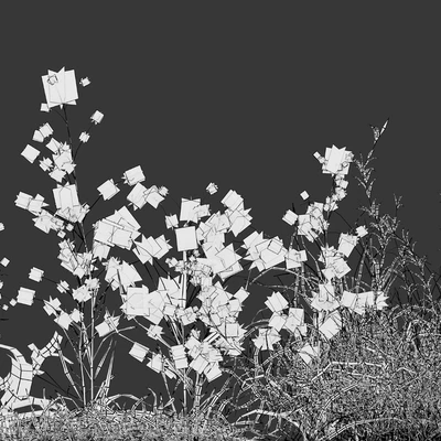 Dry meadow — Ver 6