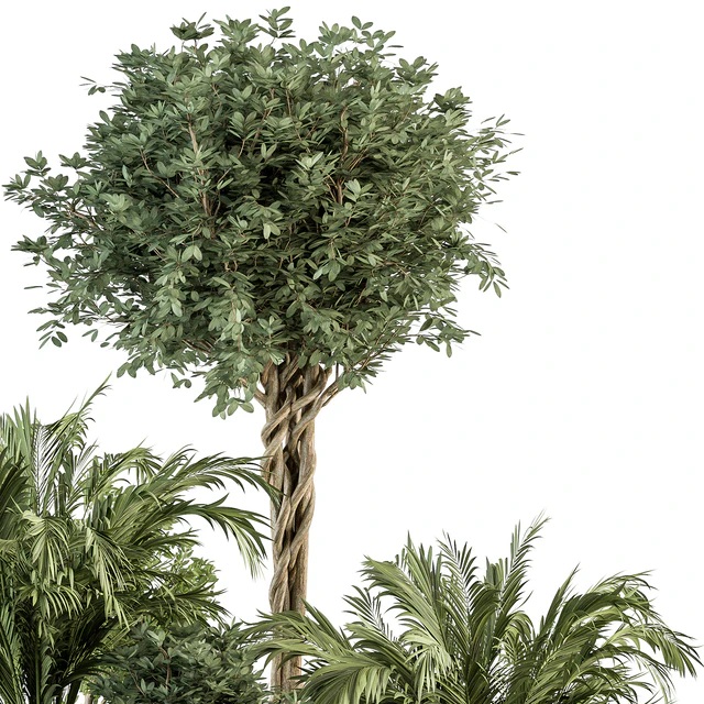 Garden Plants - Outdoor Plants 442 — Descargar