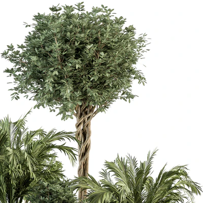 Garden Plants - Outdoor Plants 442 — Ver 4