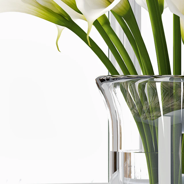 Calla Lily 4 — Скачать