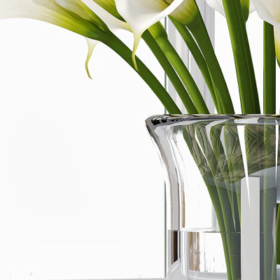 Calla Lily 4 — Вид 3