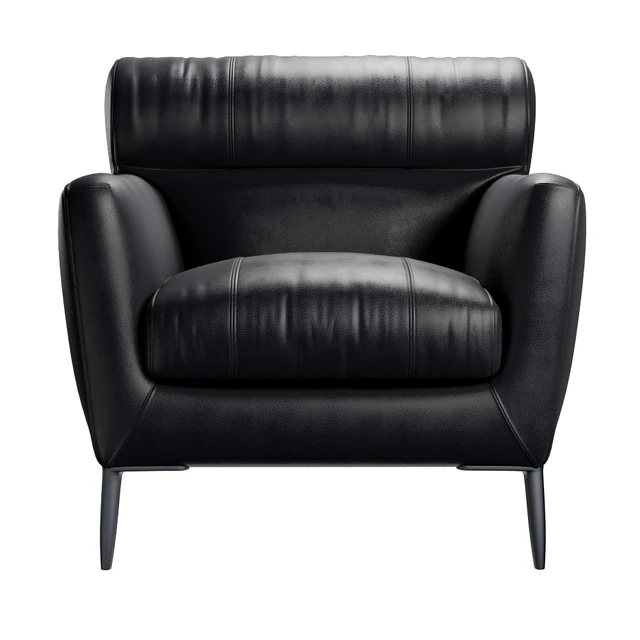 Roche Bobois POLTRONA VIRGULE — Скачать