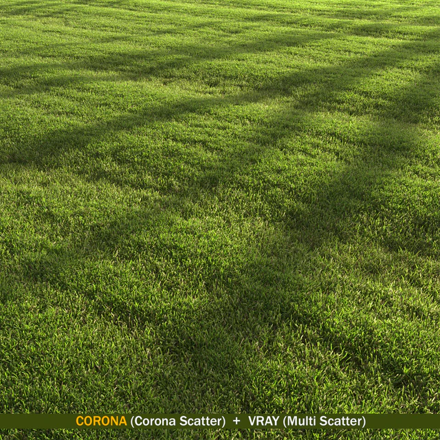 Lawn landscape — Скачать