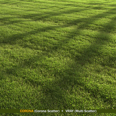 Lawn landscape — Вид 1