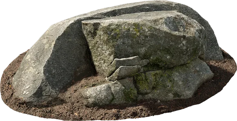 forest boulder 001 — Скачать