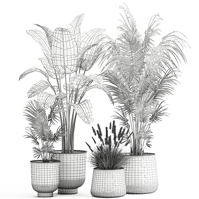 Decorative small Banana palm in a metal pot Strelitzia, Howea. Set 964. — Descargar