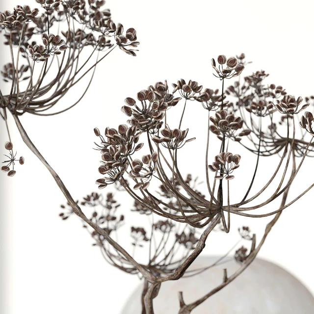 Decorative set with ceramic and heracleum 09 — Descargar