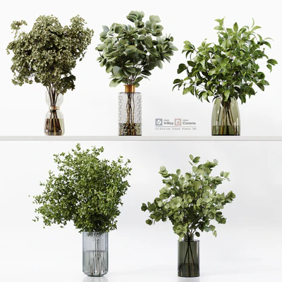 Collection Indoor Plants 041 — Вид 1