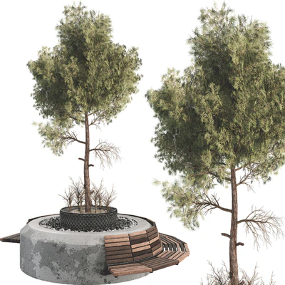 Outdoor Plant Set 06 — Ver 5