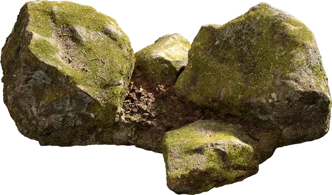 nordic forest cluster rock medium 001 — Скачать