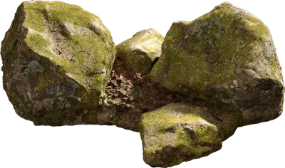 nordic forest cluster rock medium 001 — Скачать