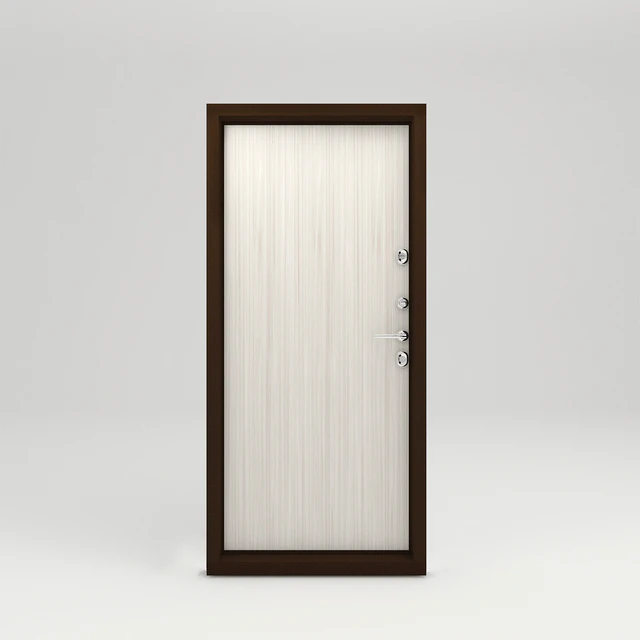 Paneled door entrance — Descargar