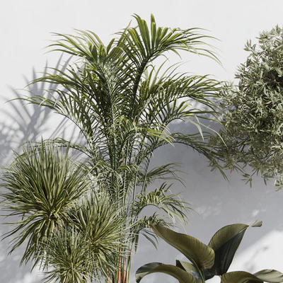 indoor plant set 71 — Вид 7