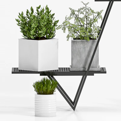 PLANT SET - 76 — Ver 3