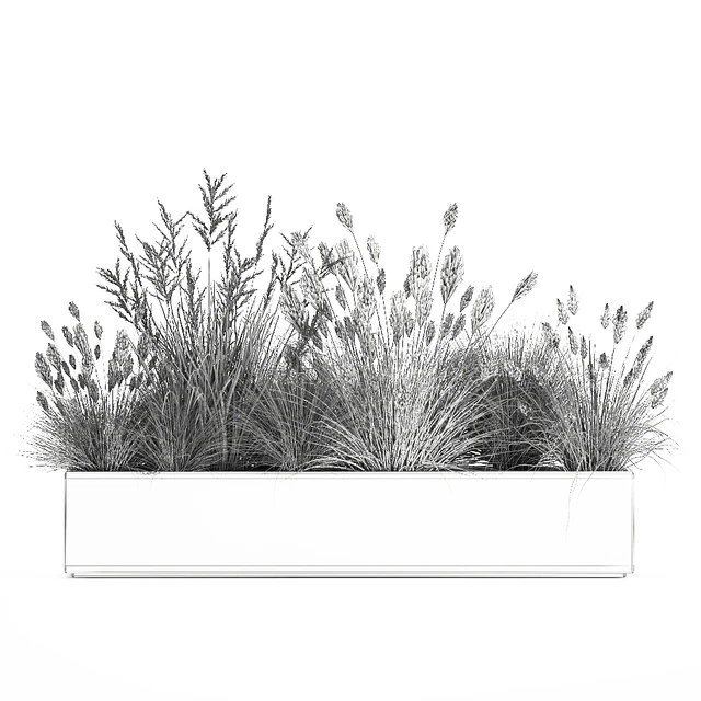 Collection of plants in a pot with pampas grass, reeds, flowerbed, bushes, landscaping. Set 1076. — Descargar