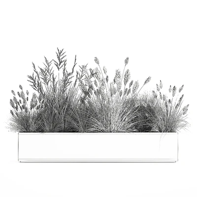 Collection of plants in a pot with pampas grass, reeds, flowerbed, bushes, landscaping. Set 1076. — Ver 7