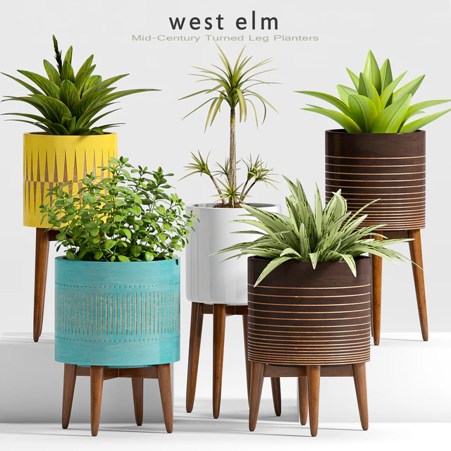 Plant Set -24 — Descargar