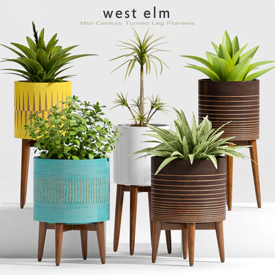 Plant Set -24 — Ver 1