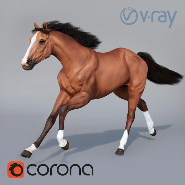 Running horse 02 — Descargar