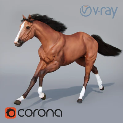 Running horse 02 — Ver 1