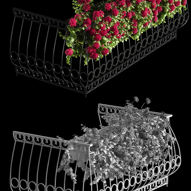 Plant geranium for the facade — Descargar