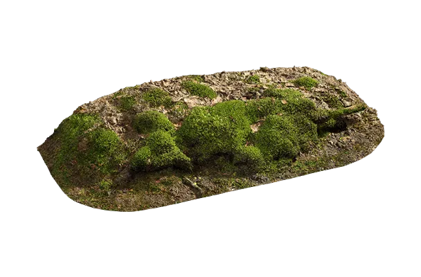 nordic forest ledge moss small 002 — Descargar