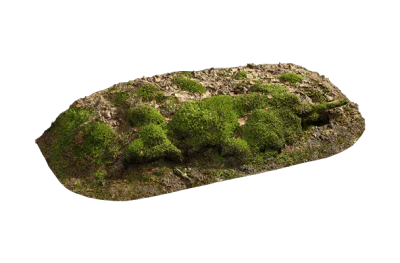 nordic forest ledge moss small 002 — Descargar