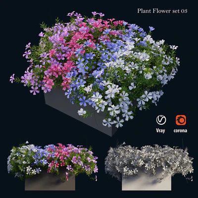 Plant Flower set 03 — Ver 5