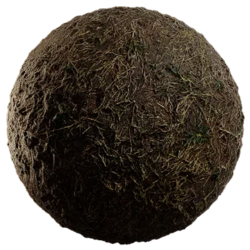 dried grass on damp soil 015 — Descargar