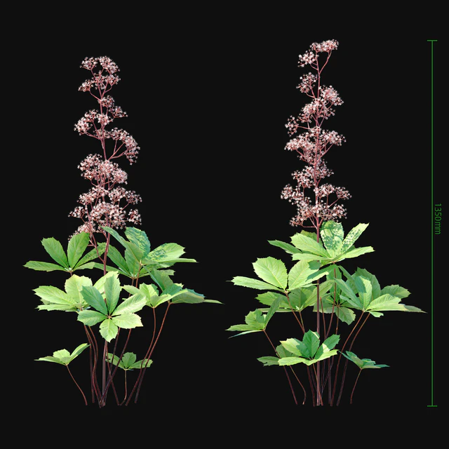 Rogers horse chestnut 2 — Descargar