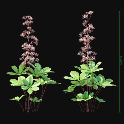 Rogers horse chestnut 2 — Ver 4