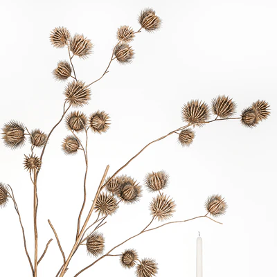 Bouquet of dried flowers from thorn branches burdock with a vase and a glass of sparkling wine. 253 — Ver 6