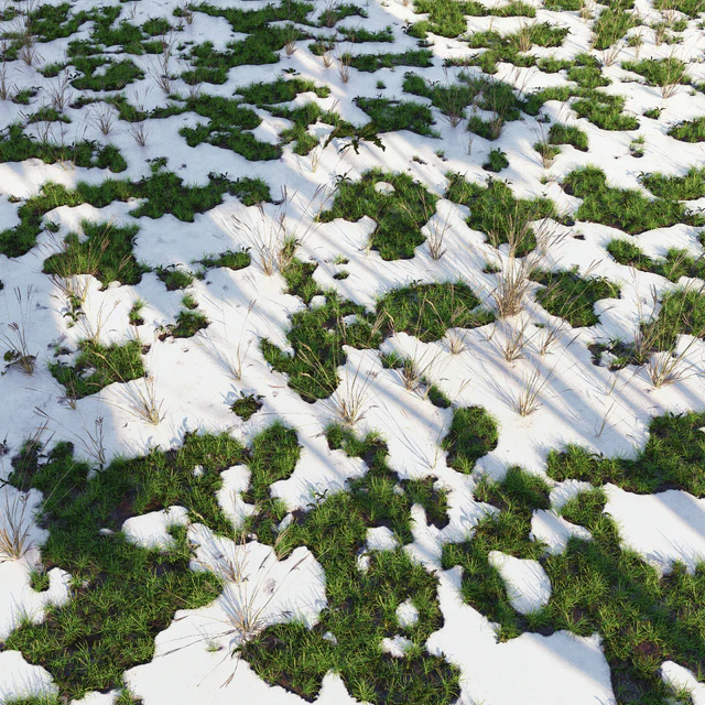 arch grass 04 — Descargar