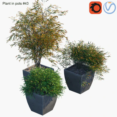 Plant in pots # 43: Palm and grass — Ver 3