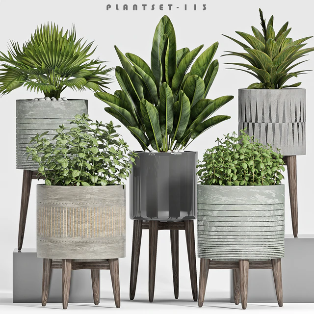 plant set-113 — Descargar