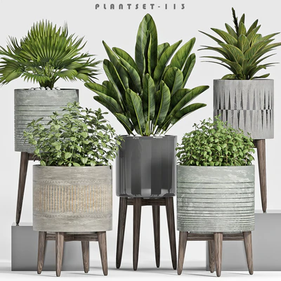 plant set-113 — Ver 1