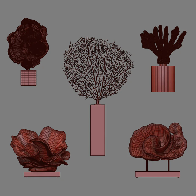 Coral Set 5 — Descargar