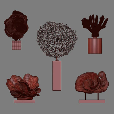 Coral Set 5 — Ver 7