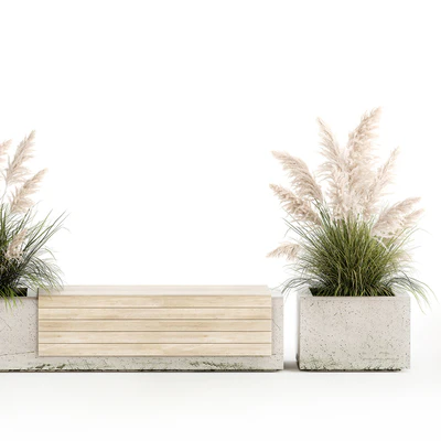 Bench flowerbed for the urban environment in a concrete flowerpot with bushes of reeds and pampas grass, Cortaderia. 1144. — Ver 7