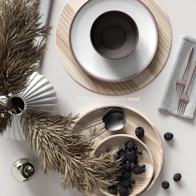 Table settings with reed — View 3